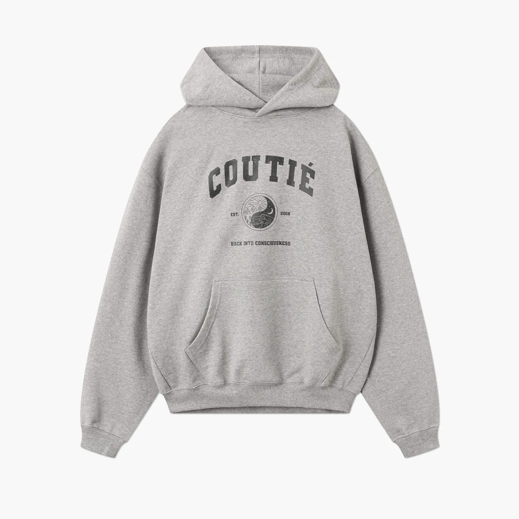 Consciousness Hoodie Grey
